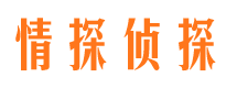 高淳调查公司